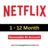 Netflix Premium Subscription BD